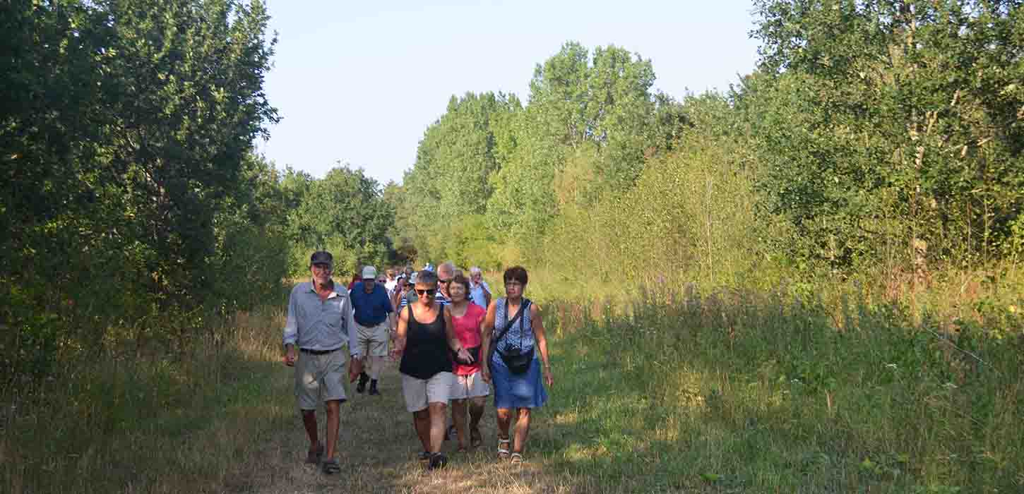 Guidet vandretur