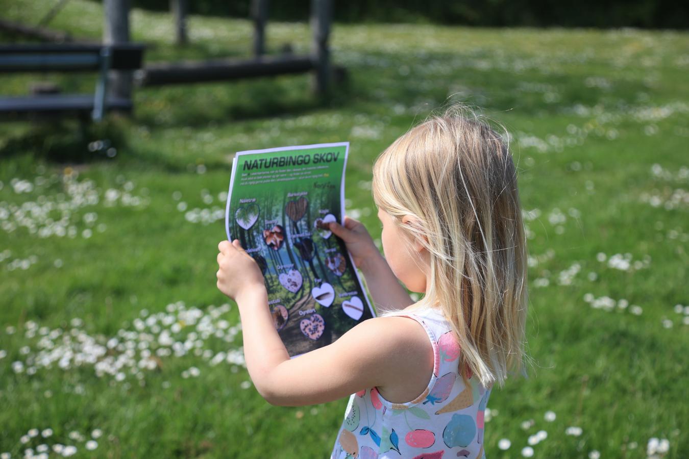 Naturbingo sommer -pige kigger på naturbingopladen