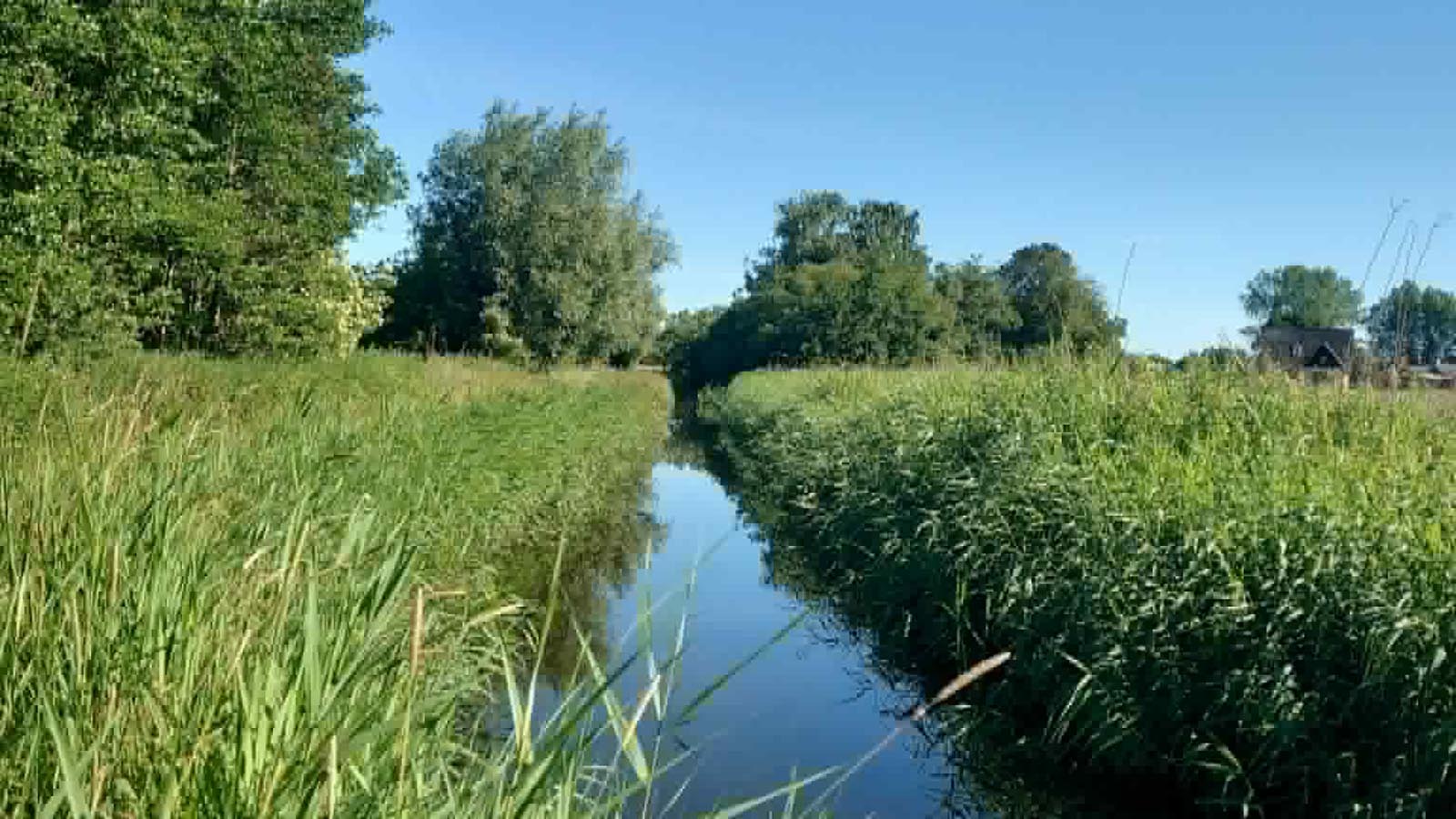 Nordre kanal ved Odense Fjord