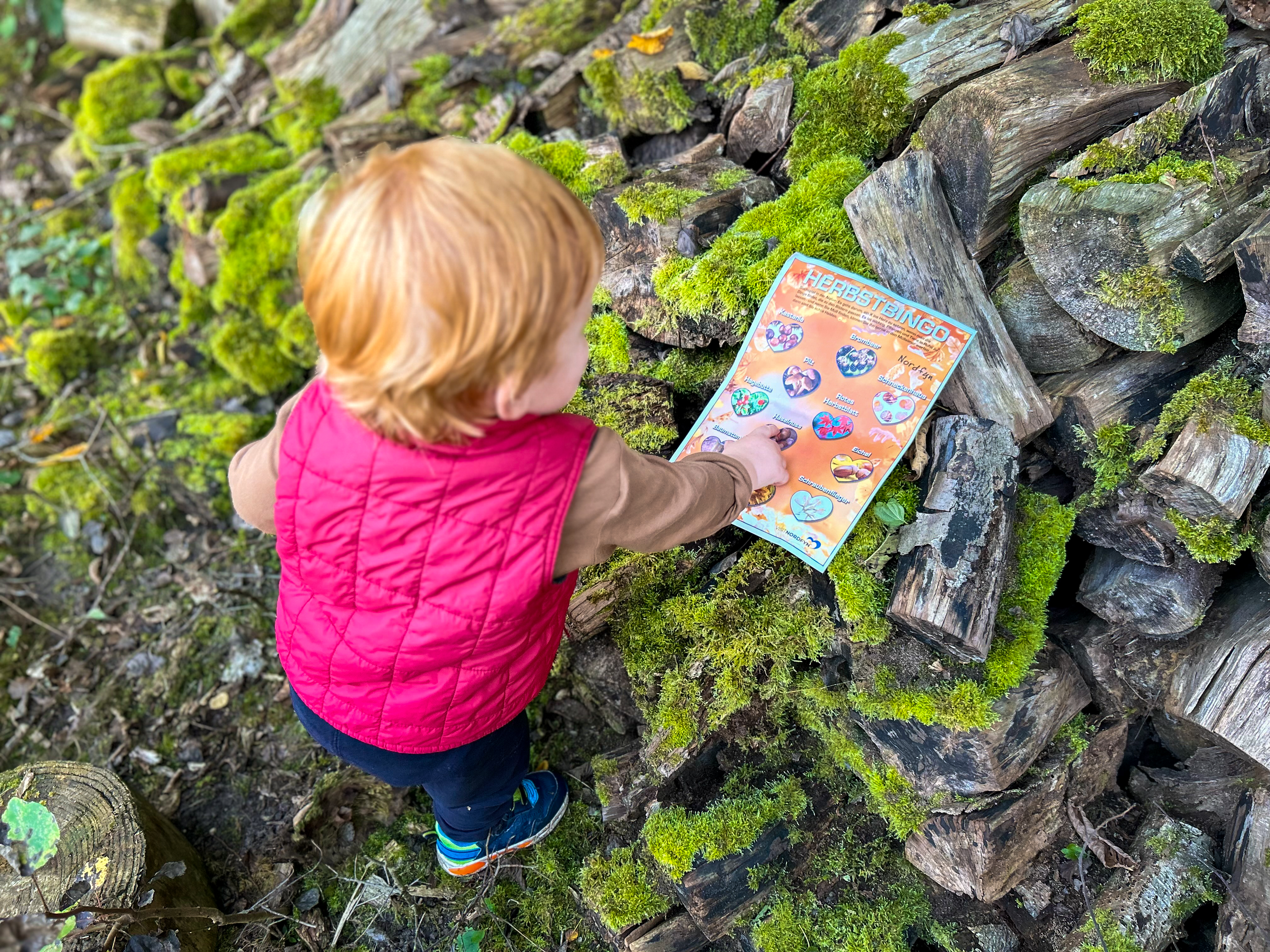 Dreng udfylder efterårs naturbingo