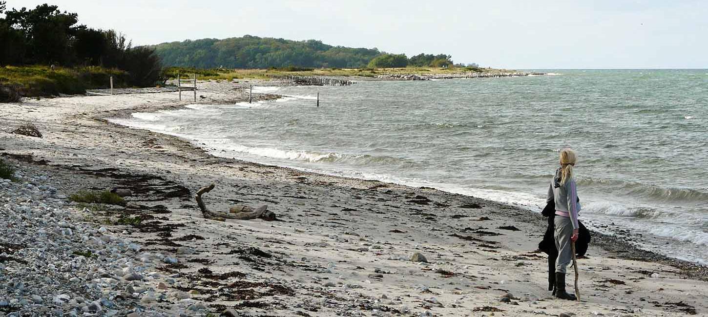 Enebærodde og udsigt til havet