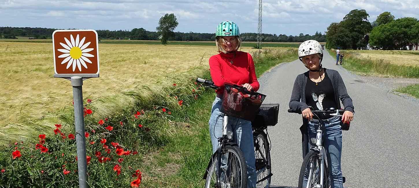 Margueritruten på Nordfyn