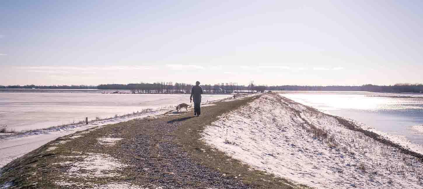 Vinter på Gyldensteen Strand på diget med hund og hundelufter
