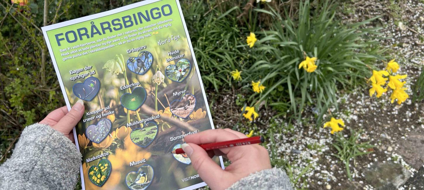 Frühlingbingo Naturbingo Forårsbingo