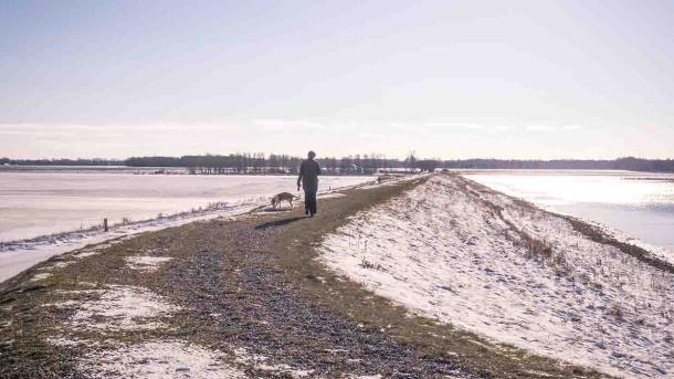 Vinter på Gyldensteen Strand på diget med hund og hundelufter