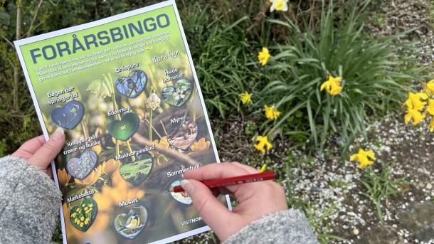 Frühlingbingo Naturbingo Forårsbingo