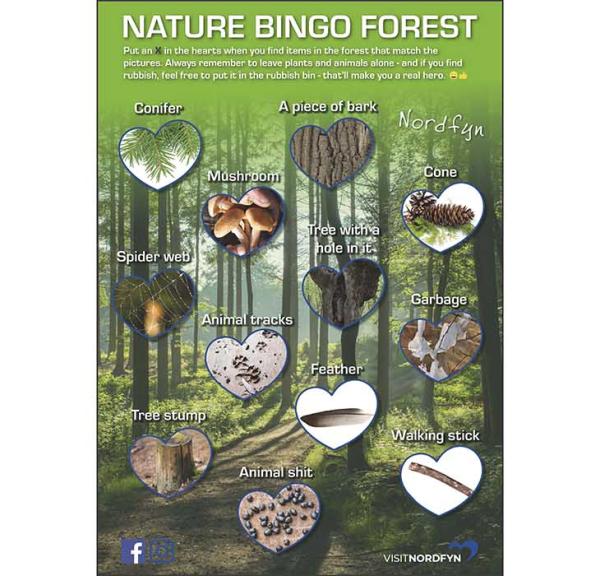 Illustration of the bingo card for the scavenger hunt in the woods