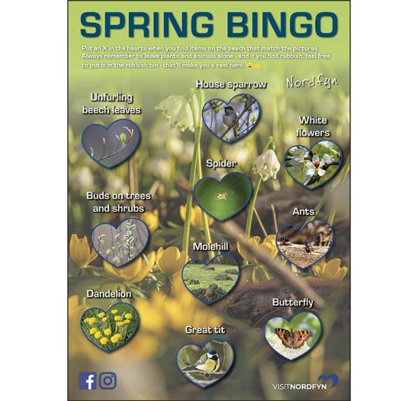 Nature bingo card in Spring