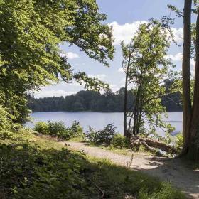 Langesø ved skovsti og sø i baggrunden