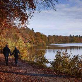 Par vandrer ved Langesø en efterårsdag