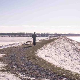 Vinter på Gyldensteen Strand på diget med hund og hundelufter