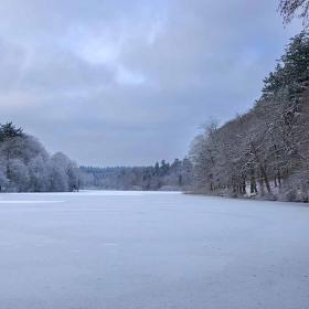 Langesø in winter with snow on the path and trees and ice on the lake