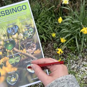 Frühlingbingo Naturbingo Forårsbingo